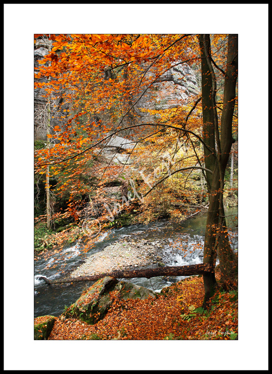 PSD0137312.jpg