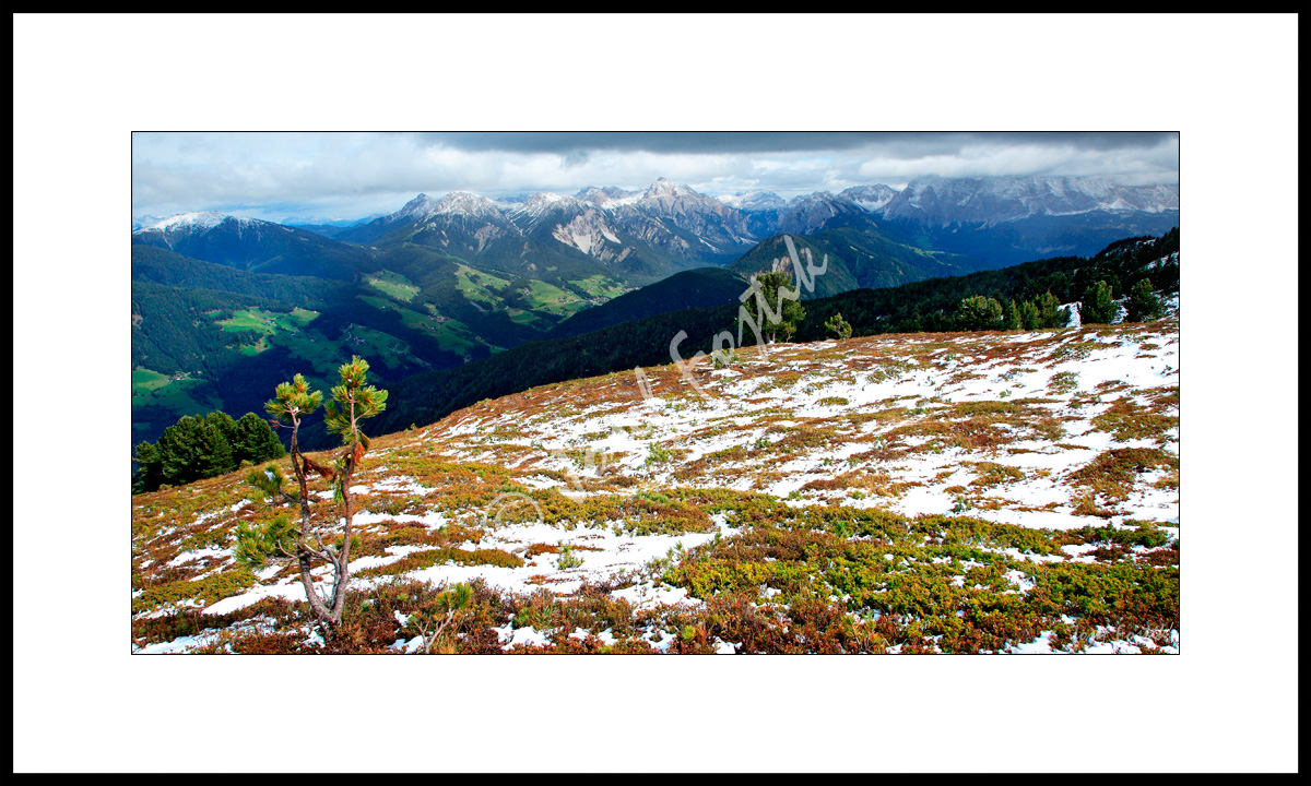 PSD0105028_PAN_2.jpg