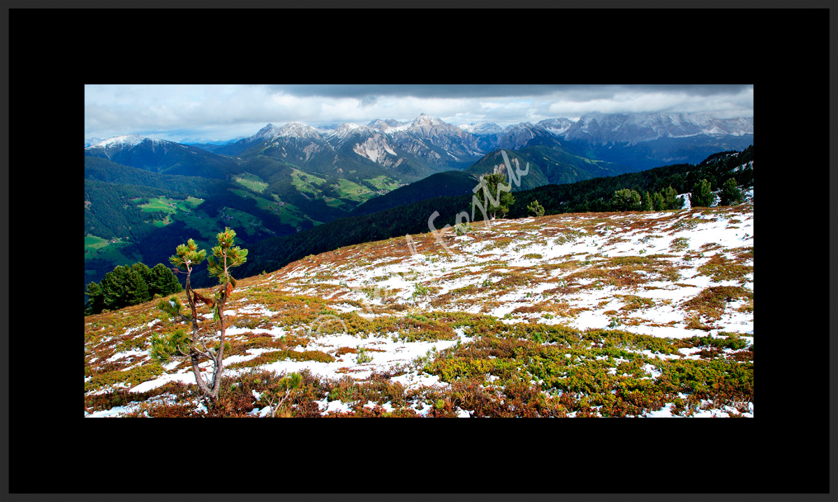 PSD0105028_PAN_2.jpg