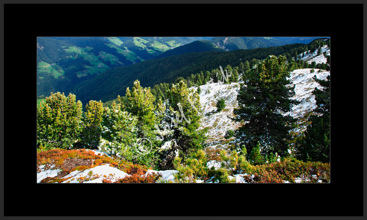 PSD0105041_PAN_2_A.jpg