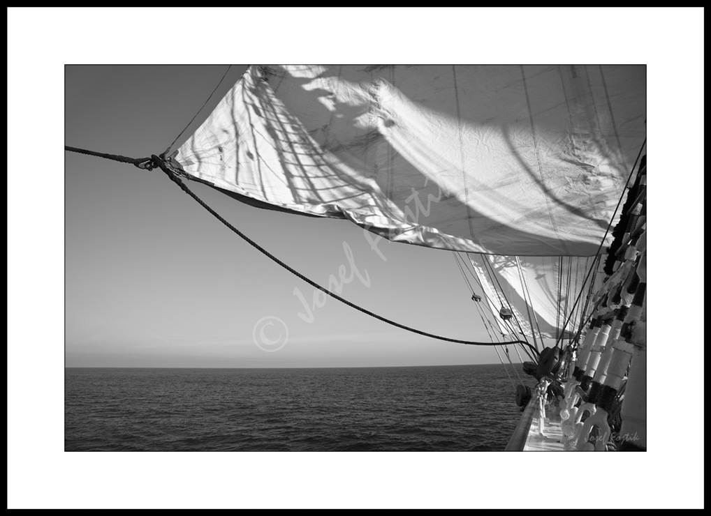 PSD0116007_BW.jpg