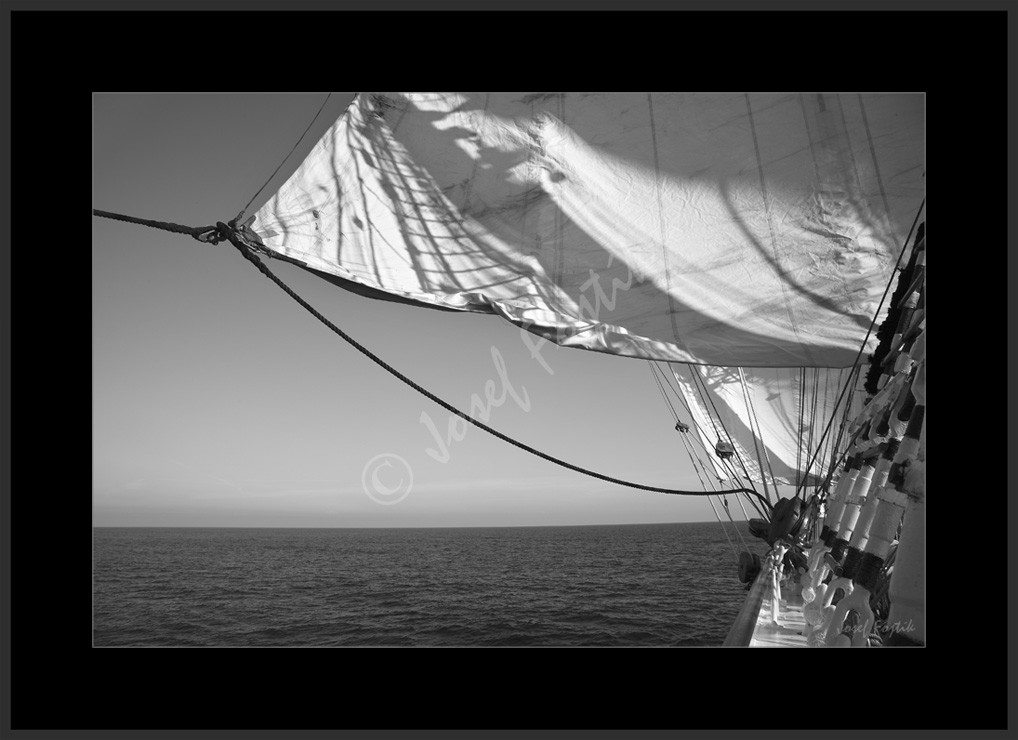 PSD0116007_BW.jpg