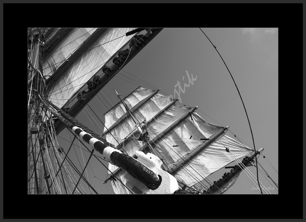 PSD0116033_BW.jpg