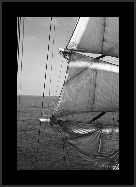 PSD0116786_BW.jpg
