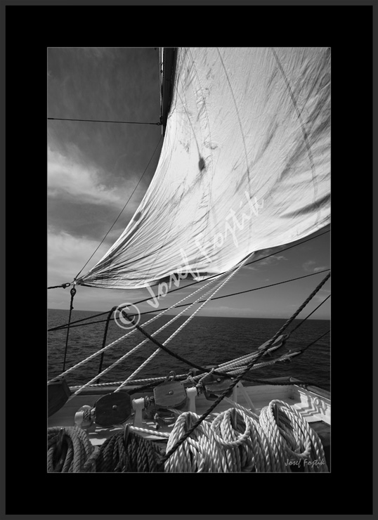 PSD0102528_BW.jpg