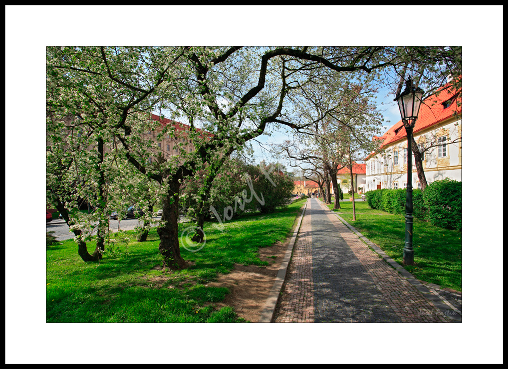 PSD0109124.jpg