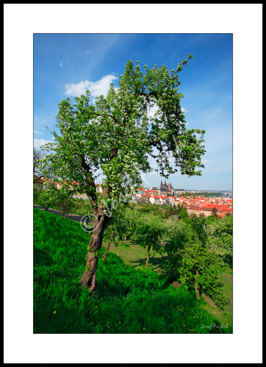 PSD0109131.jpg