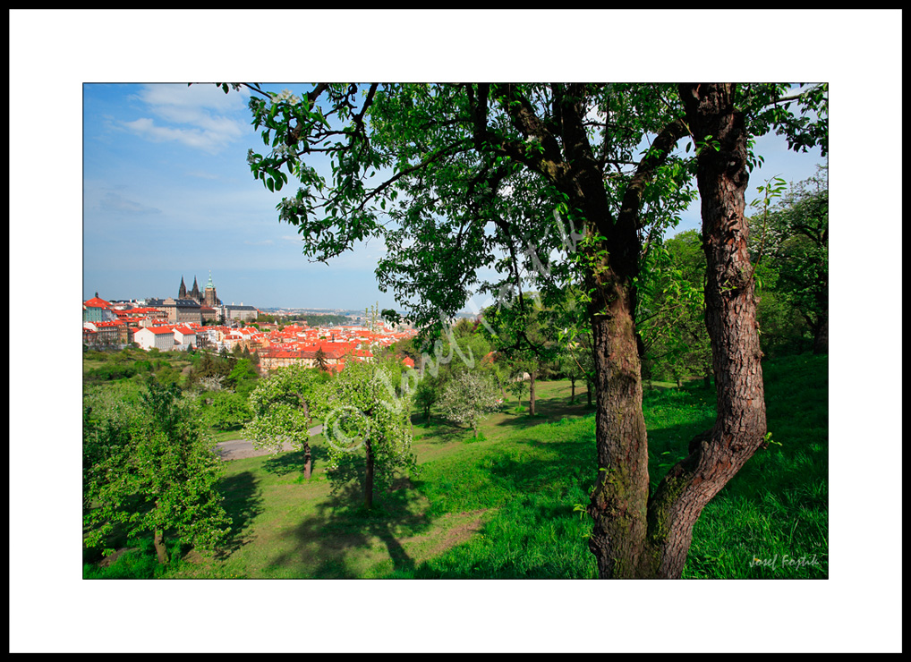 PSD0109132.jpg