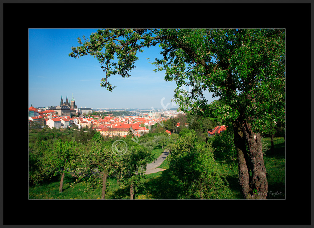 PSD0099444.jpg