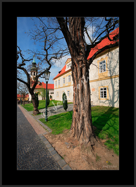 PSD0109126.jpg