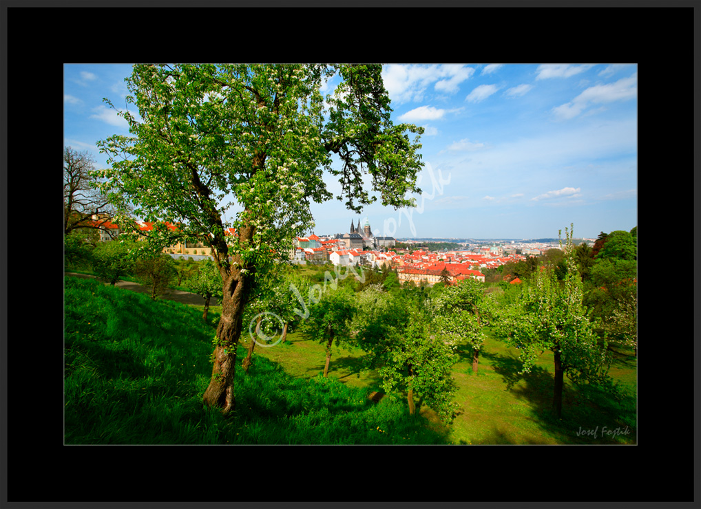 PSD0109138.jpg