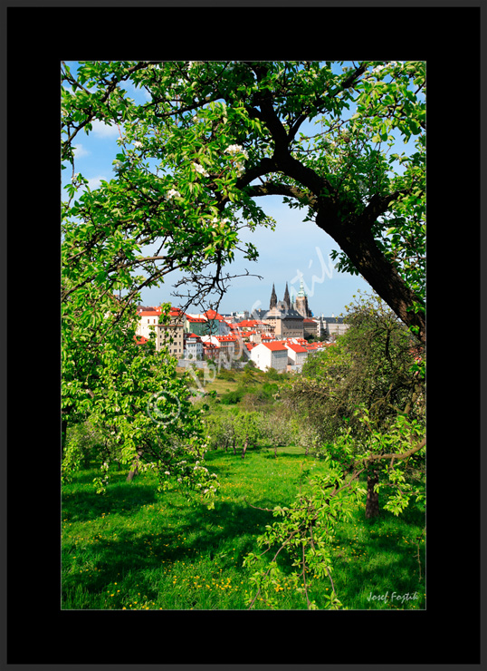 PSD0109163.jpg