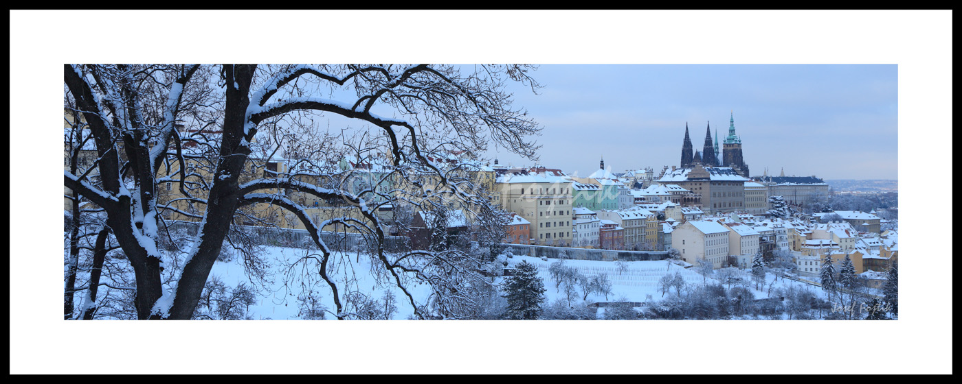 PSD0154350_pan_325.jpg