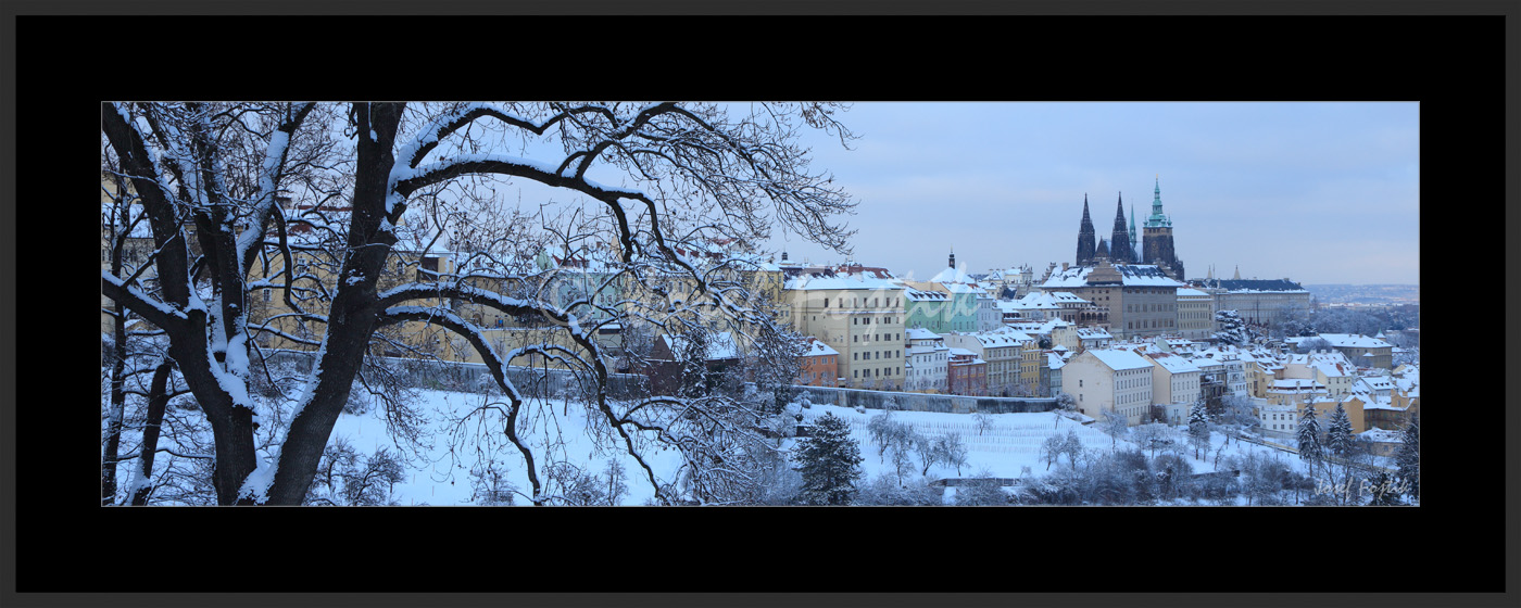 PSD0154350_pan_325.jpg