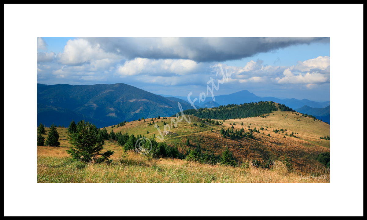 PSD0112957_PAN_2.jpg