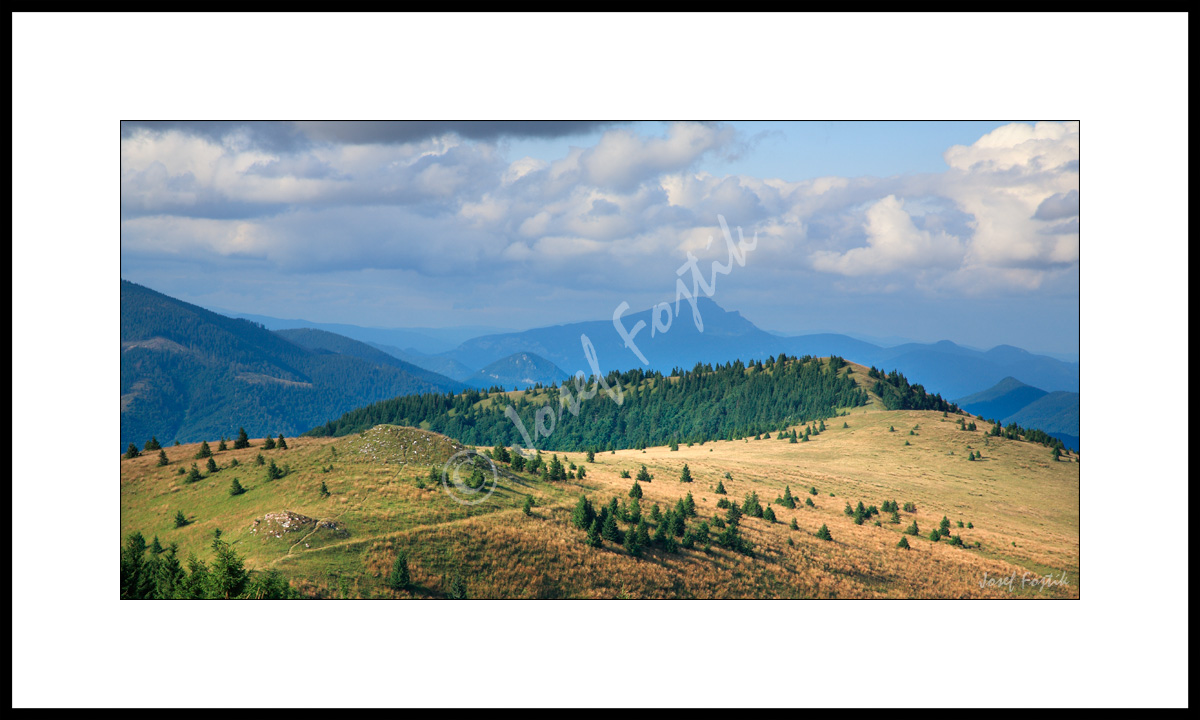 PSD0112955_PAN_2_A.jpg