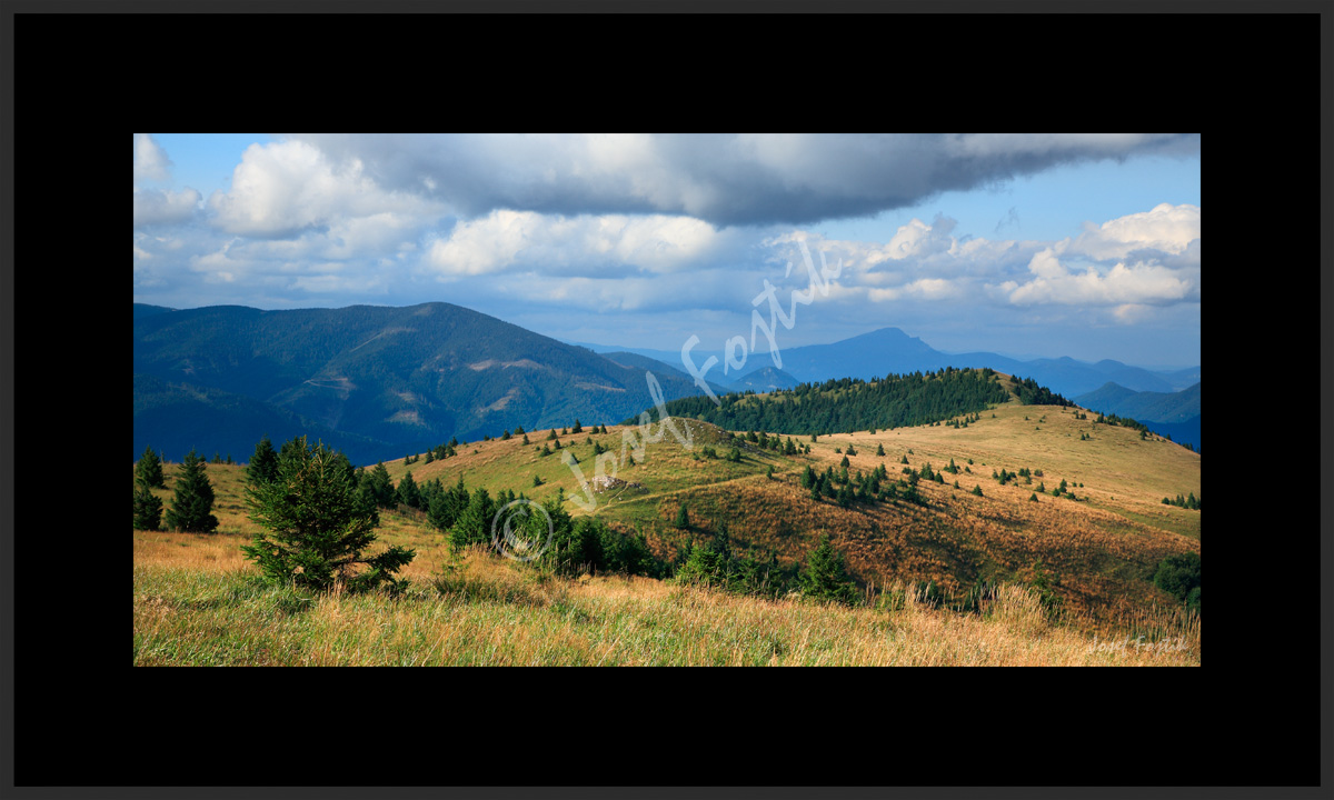 PSD0112957_PAN_2.jpg