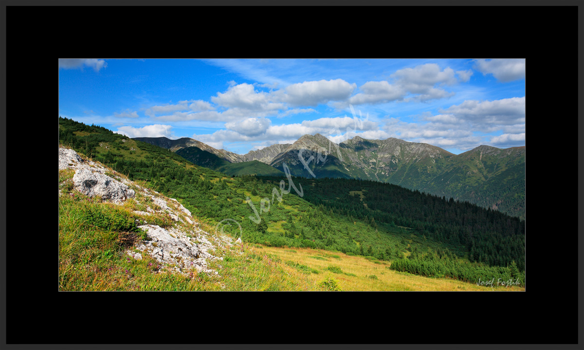 PSD0113085_PAN_2.jpg