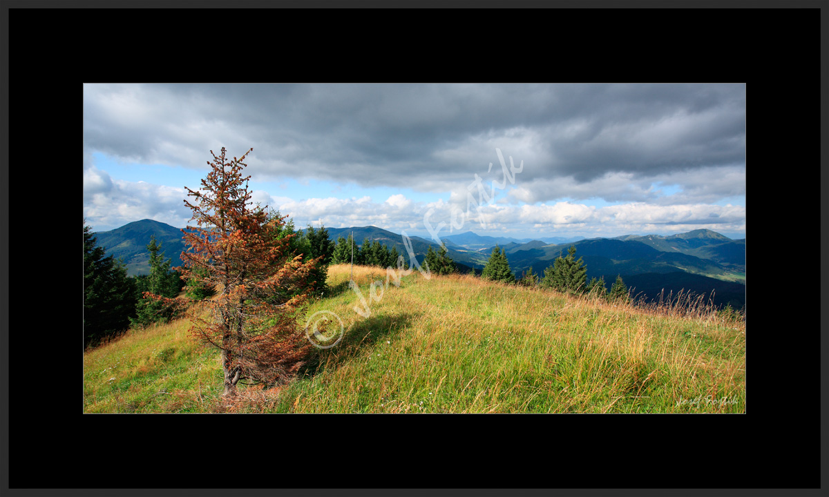 PSD0112905_PAN_2.jpg