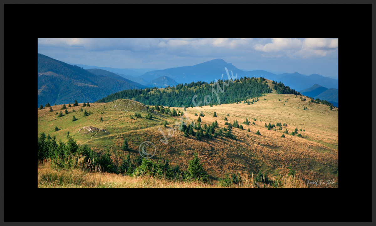 PSD0112955_PAN_2_B.jpg